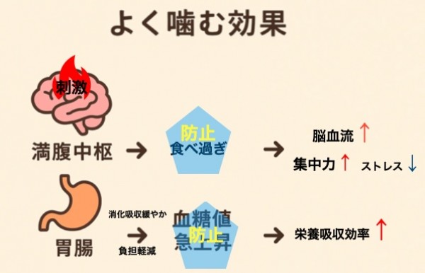 リバウンドをしない食事管理のコツ！