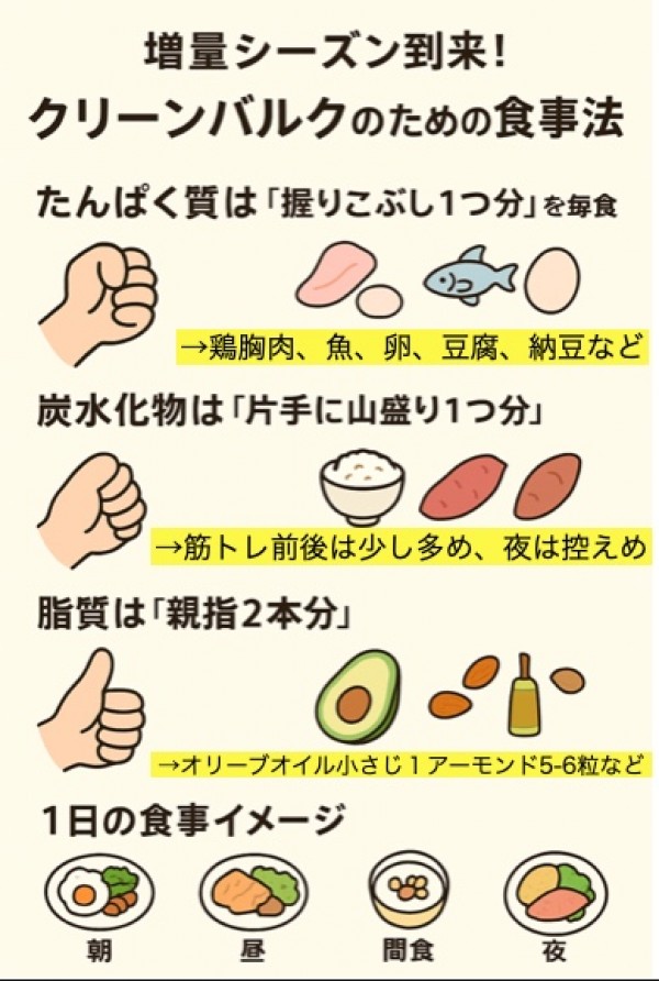 身体を大きくしたい人必見！　”手ばかり”でできるクリーンバルク！