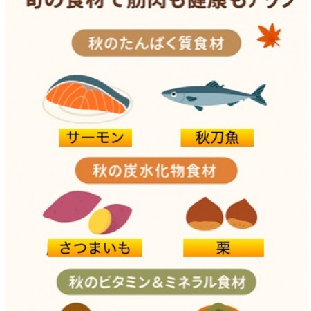 食欲の秋を味方に！旬の食材で筋肉も健康もアップ