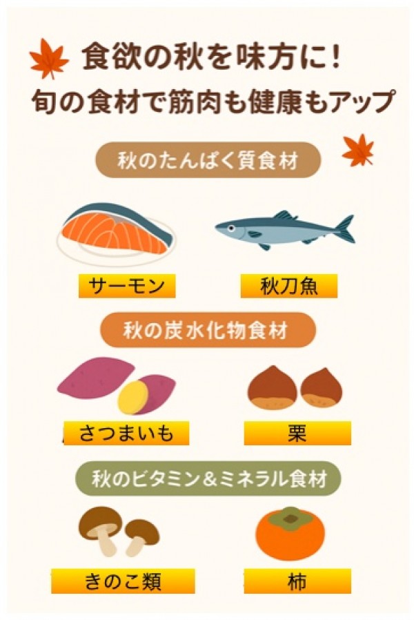 食欲の秋を味方に！旬の食材で筋肉も健康もアップ